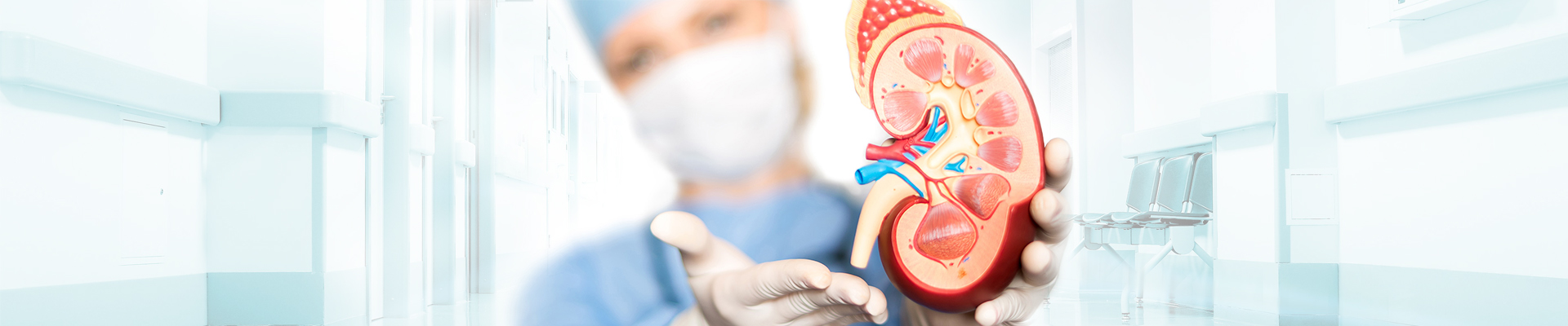 Kidney stone doctor in Chennai | ECIRS specialist in Chennai | Chennai Kidney Care